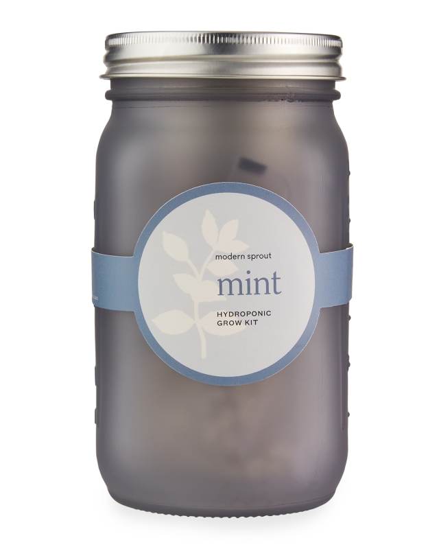 Garden Jar - Mint